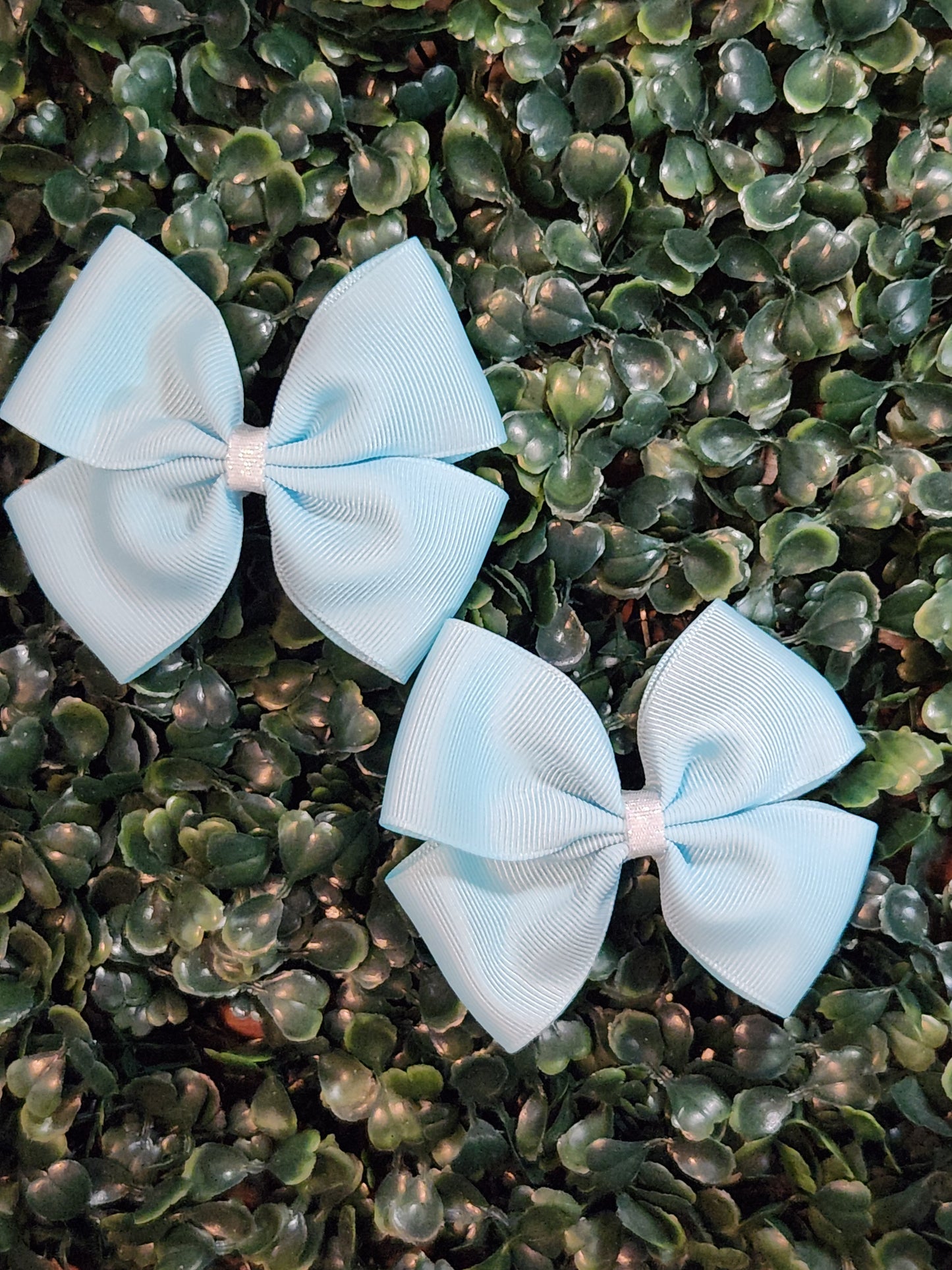 1.5 Ribbon Piggy Set Solid Color