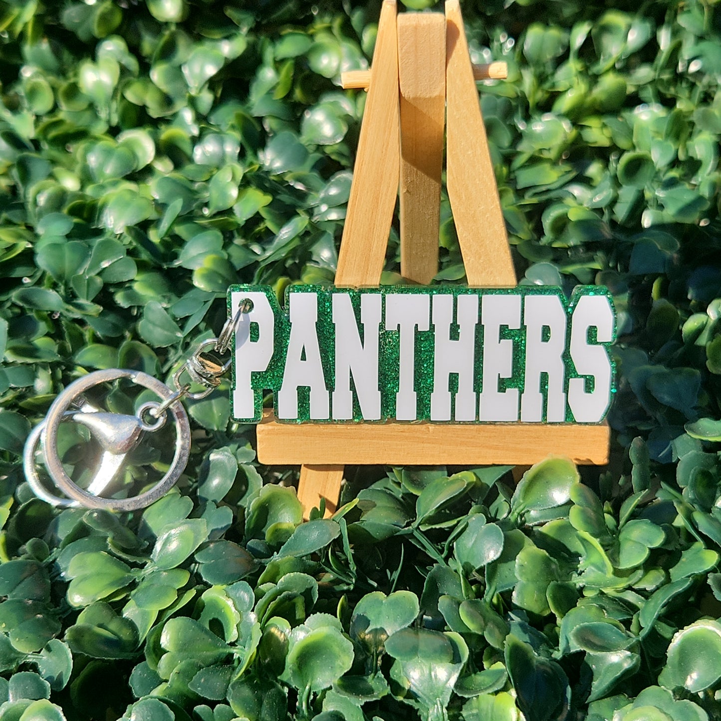 Panthers