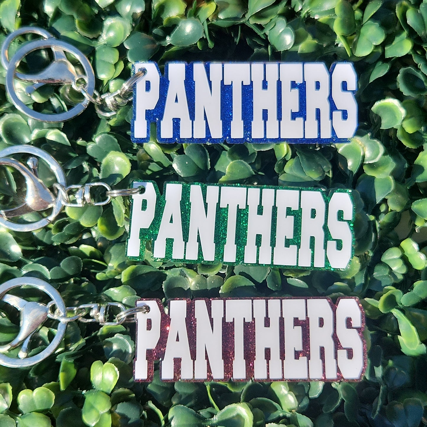Panthers