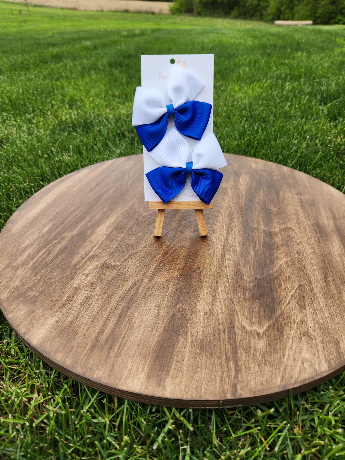 1.5 Ribbon Piggy Set Mixed Colors