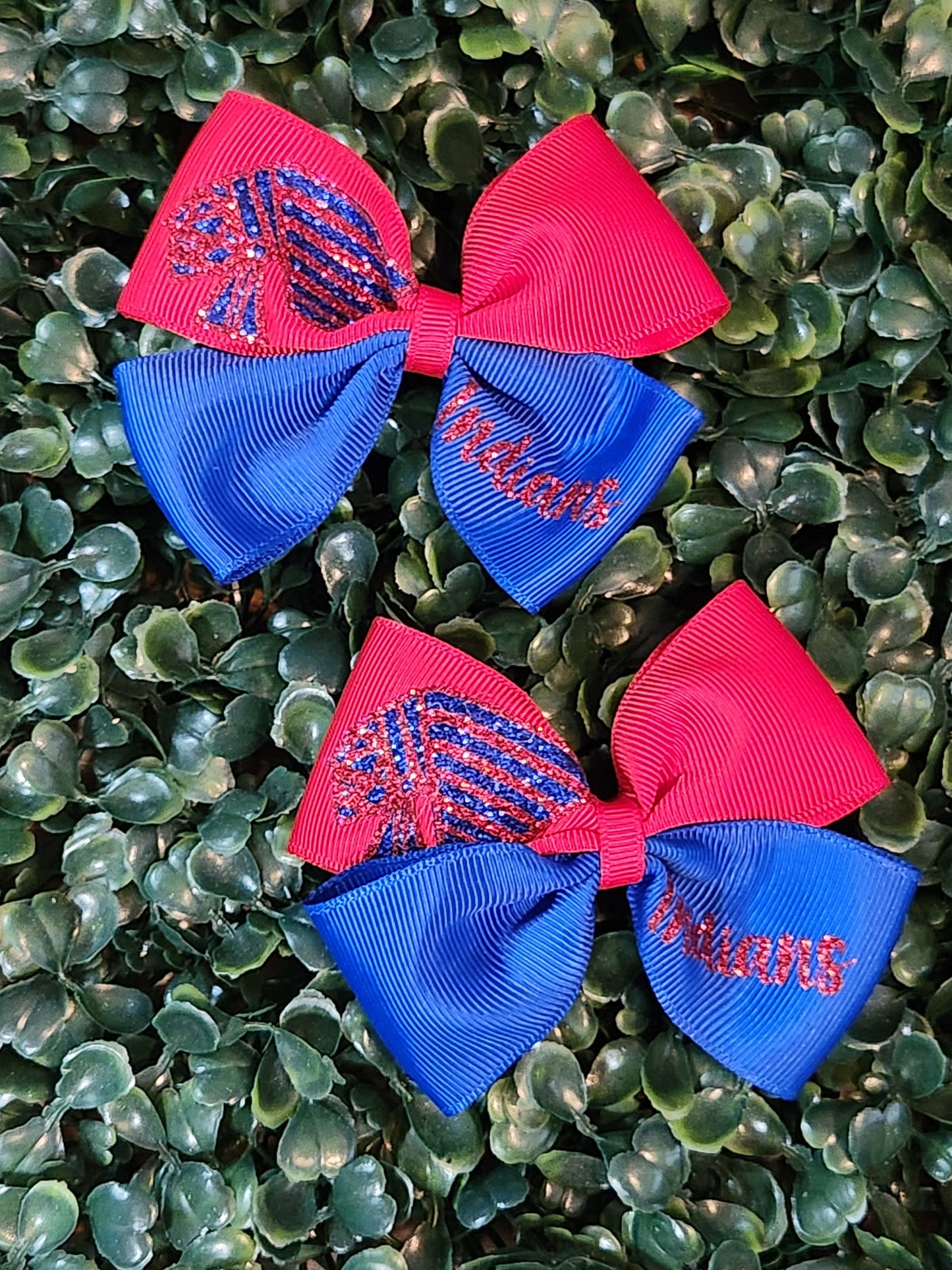 1.5 Ribbon Piggy Set School Mascots