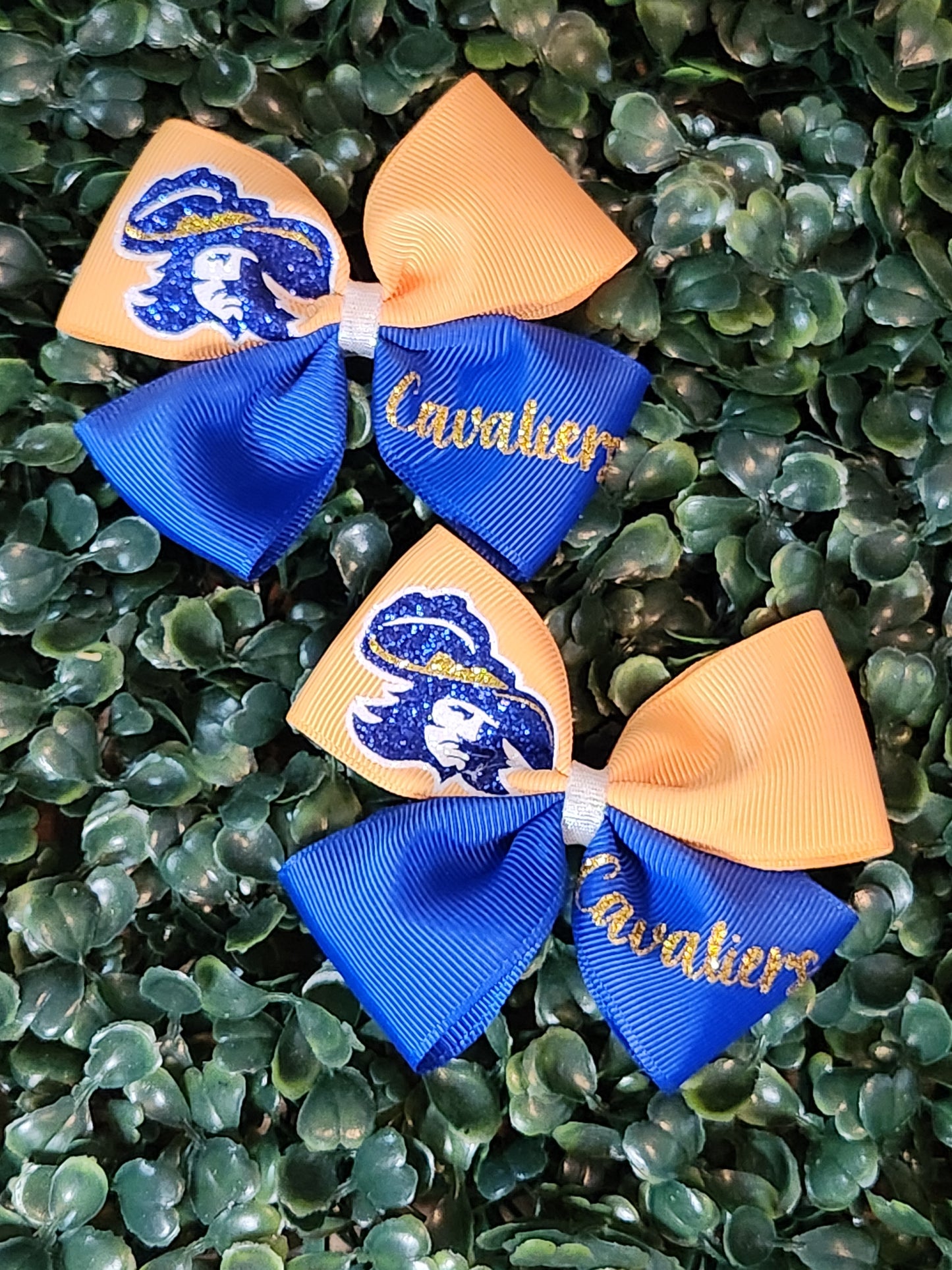 1.5 Ribbon Piggy Set School Mascots