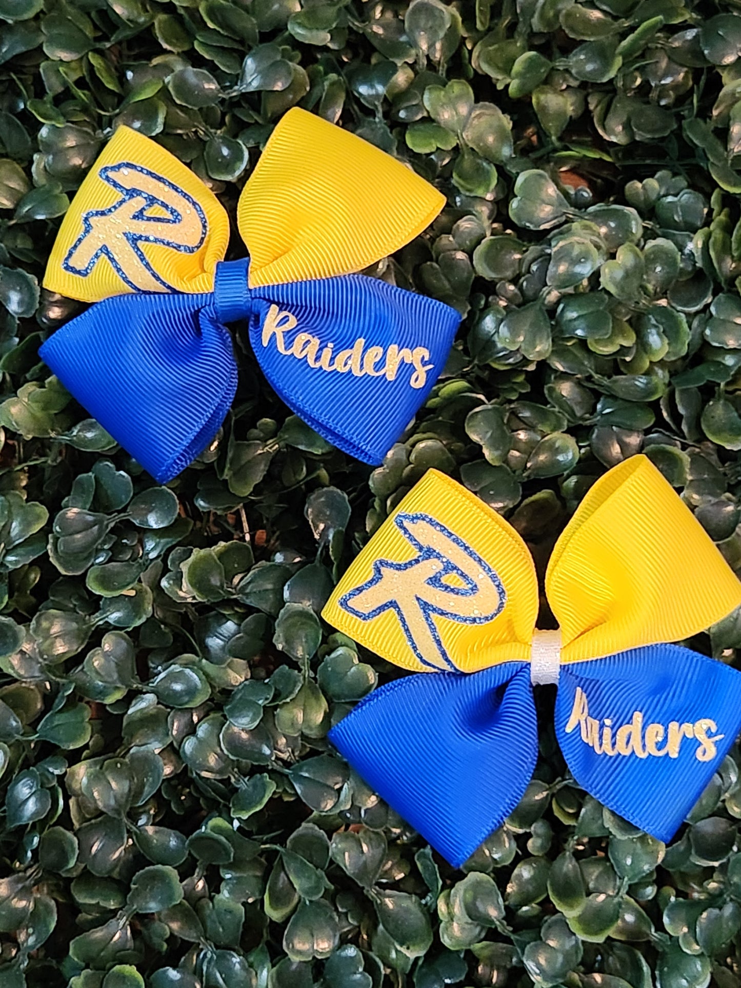 1.5 Ribbon Piggy Set School Mascots