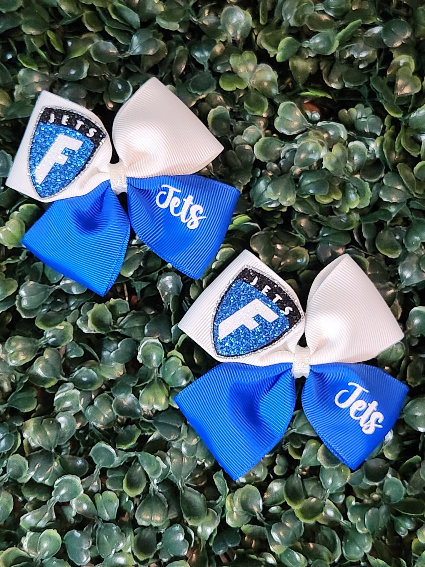 1.5 Ribbon Piggy Set School Mascots