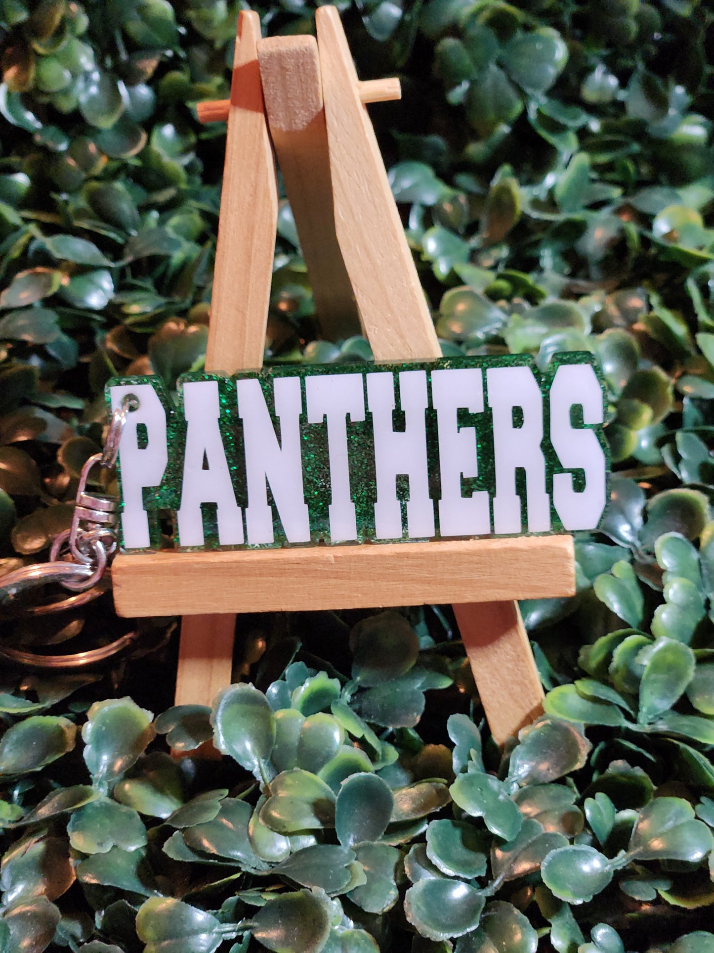 Panthers
