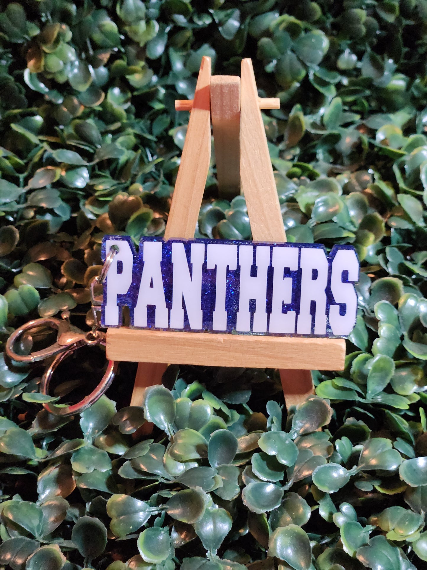 Panthers