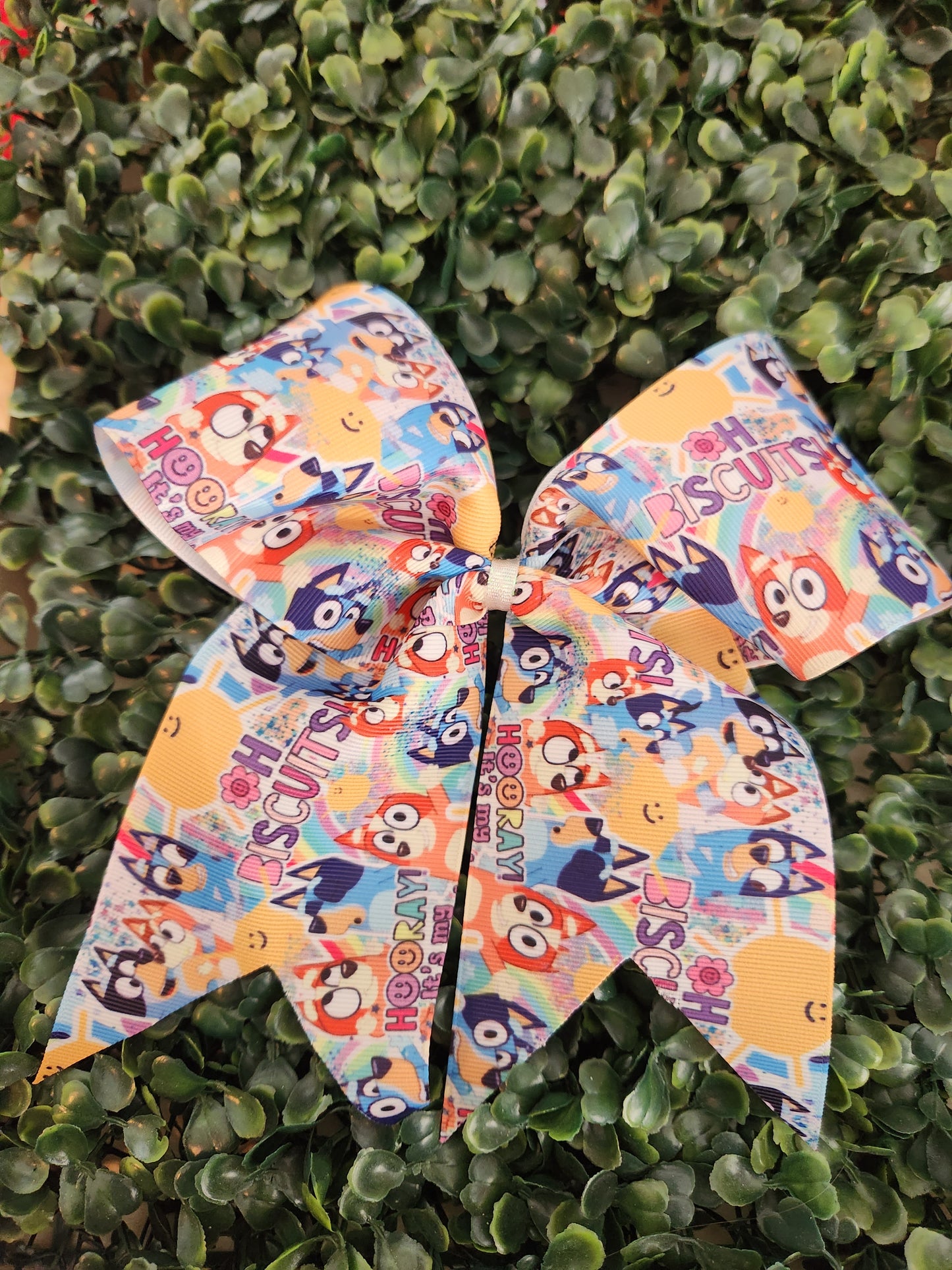 Cheer Bow