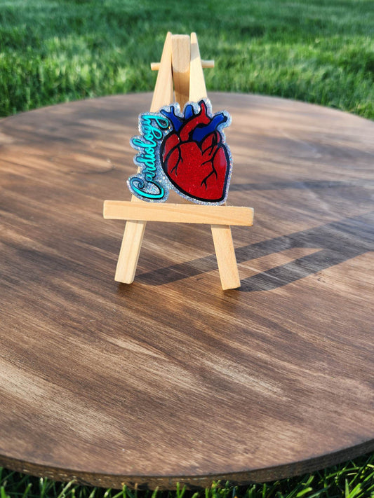 Cardiology Topper ONLY